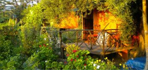 Suleyman's Garden Cabin