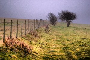 Monarch's Way