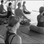 Suleymans Garden, Yoga, Turkey, Retreat, Holiday, September, Coastal, Mediterranean, Hatha, Scaravelli, Catherine Annis