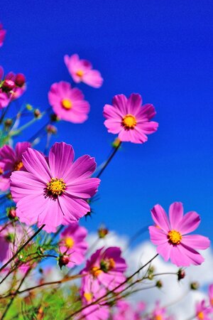 Gayles Yoga, Retreat, South Downs, East, Sussex, Friston