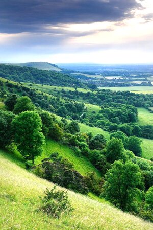 Gayles Yoga, Retreat, South Downs, East, Sussex, Friston