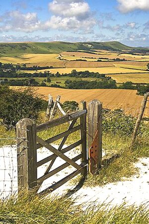 Gayles Yoga, Retreat, South Downs, East, Sussex, Friston