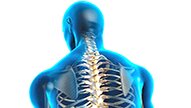 Scaravelli, Yoga, Spine, workshop, Catherine Annis, UK