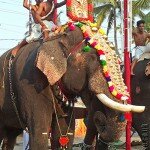 Southern India, Yoga, Retreat, Holiday, Kerala, Catherine Annis, Scaravelli, 2018, YogaUnited