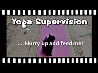 Scaravelli, Inspired, Yoga, Practice, Supervision, Video, Catherine Annis