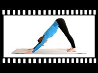 Suleyman's Garden, Turkey, yoga, retreat, video, Scaravelli, Catherine Annis