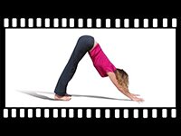 Tilton House, yoga, retreat, Sussex, Catherine Annis, Scaravelli, video