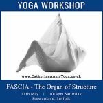 Yoga, Workshop, Stowupland, Suffolk, Fascia, Scaravelli, Catherine Annis, May, 2019