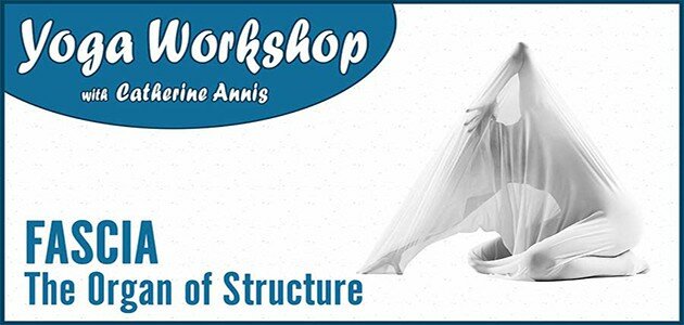 BWY-Scaravelli-Yoga-Workshop-Fascia-Organ-Structure-Catherine-Annis-UK-London-triyoga-Tring-Hertfordshire-2018